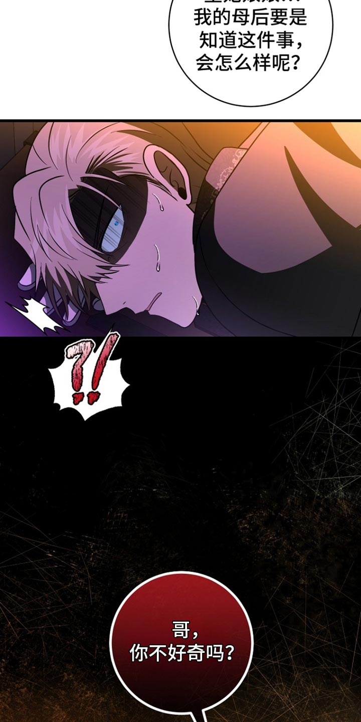 皇家教师漫画主角介绍漫画,第29章：你不好奇吗？5图