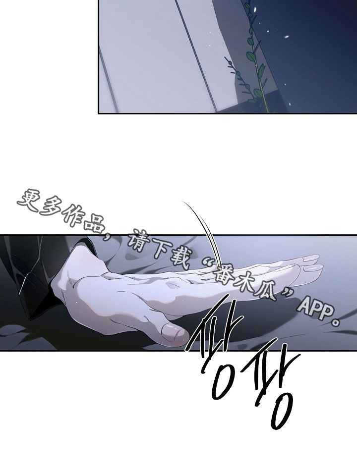 致不爱我的人一封信漫画,第108章：做饭5图