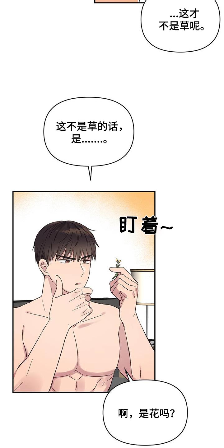 齐齐的新生活漫画,第32章：不是草4图