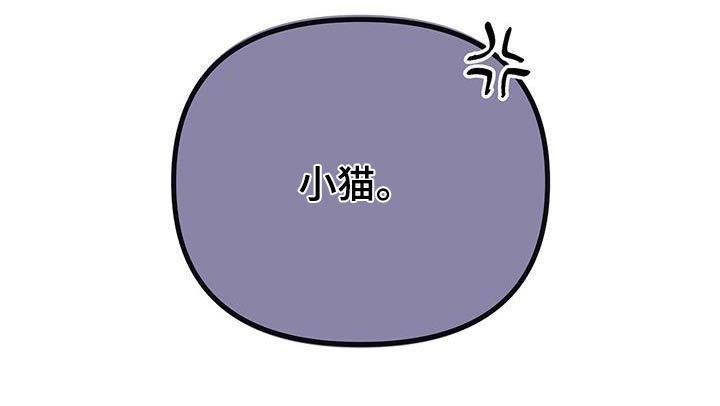 齐齐的新生活漫画,第33章：出门看电影4图