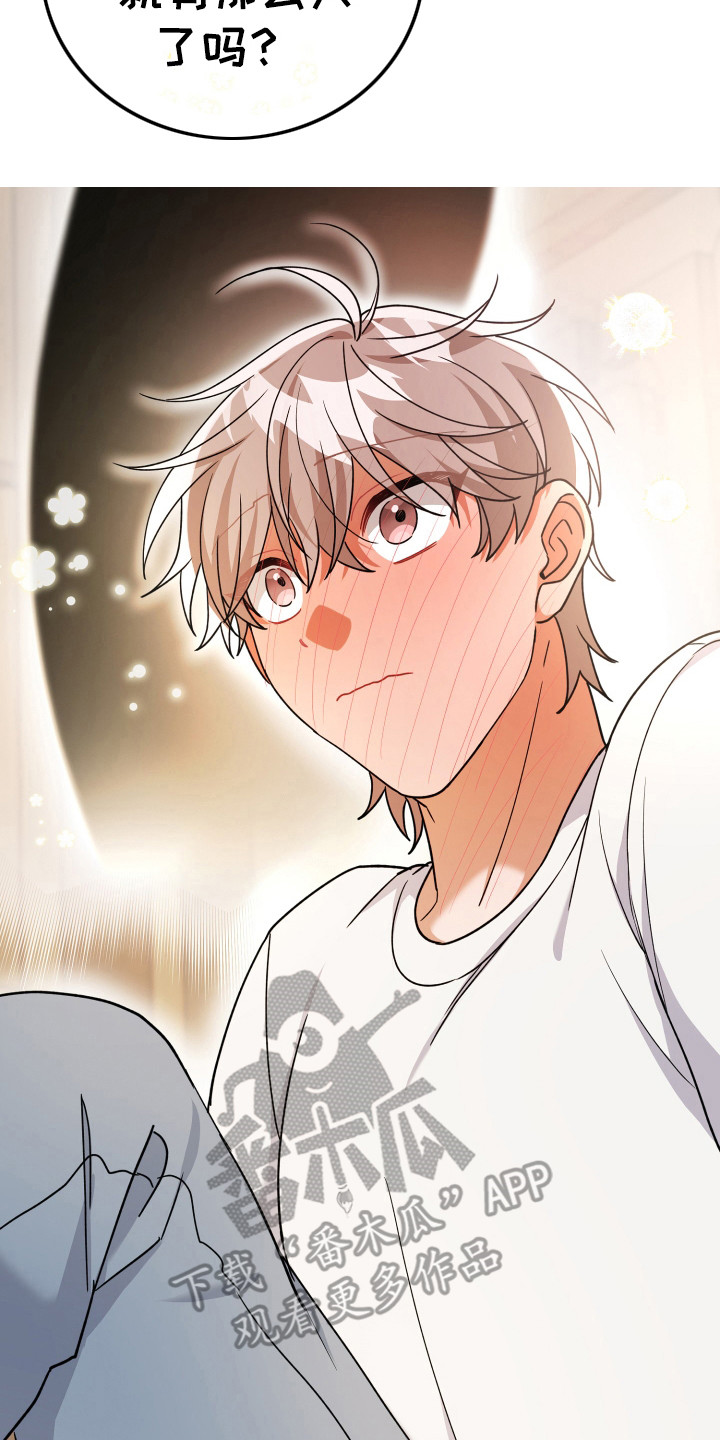 灰熊的玫瑰住宅漫画,第17章：对不起！5图