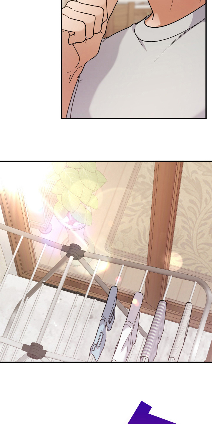 灰熊的玫瑰住宅漫画,第24章：取消5图