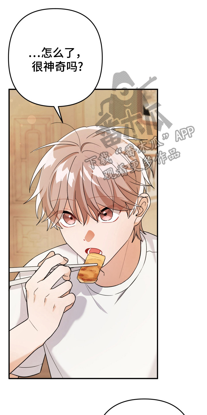 灰熊的住宅漫画,第23章：算了5图