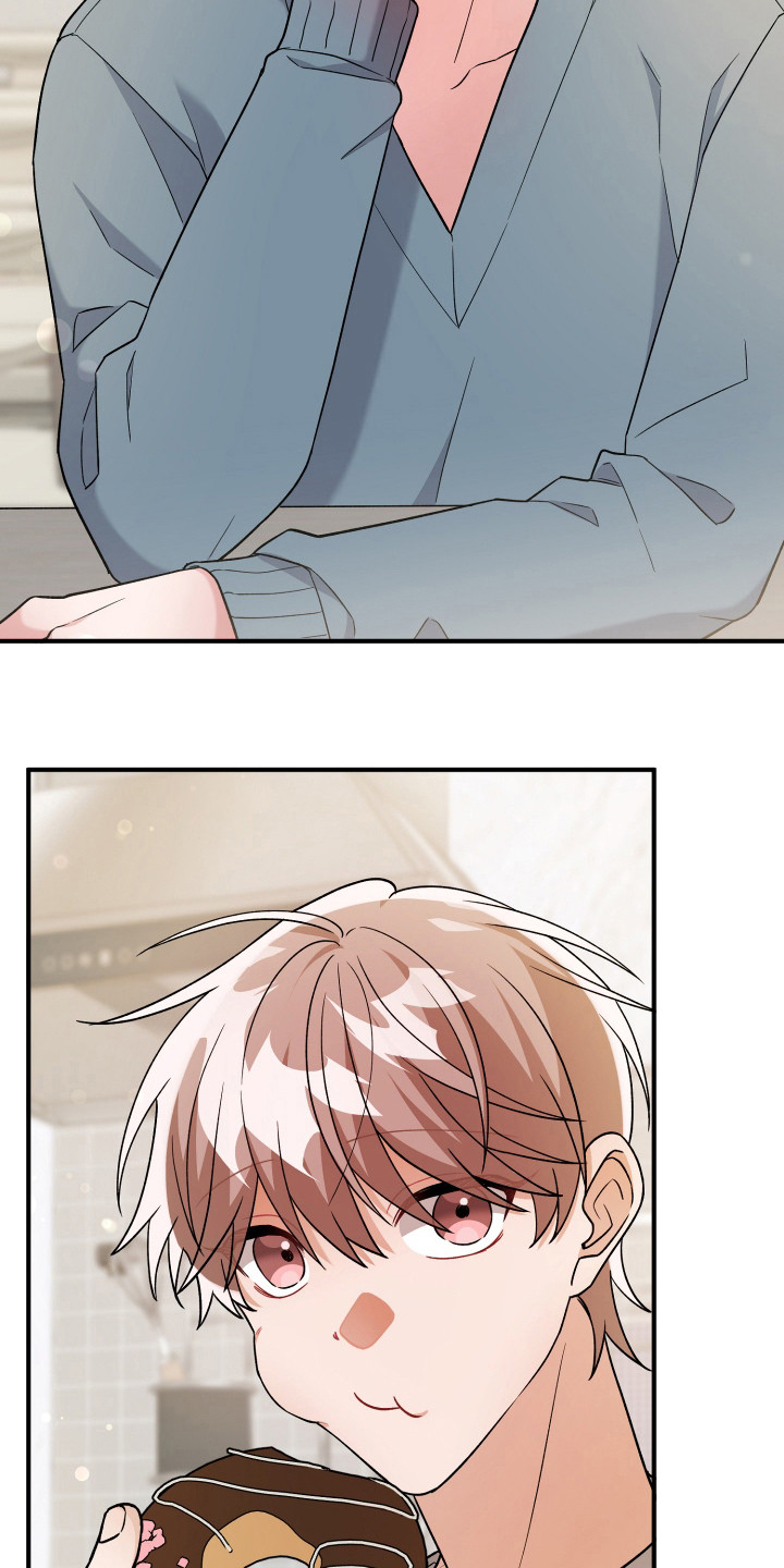 灰熊的玫瑰住宅免费漫画完整版漫画,第23章：算了5图