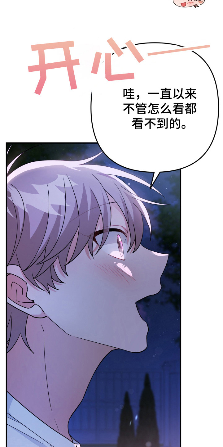 灰熊的玫瑰住宅韩漫漫画,第25章：看到了4图