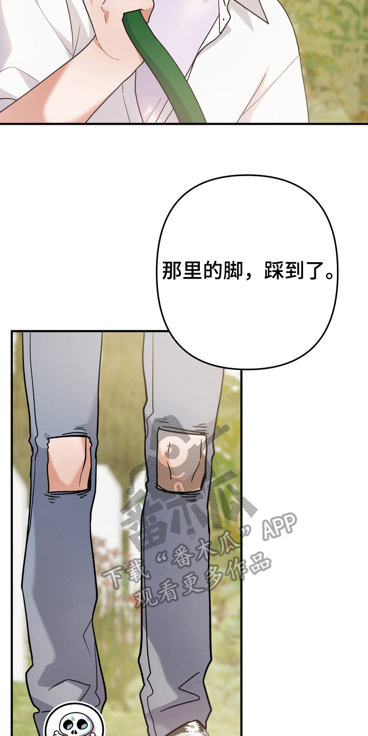 灰熊的玫瑰住宅漫画,第21章：简直了5图