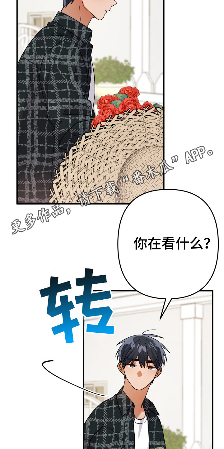 灰熊的玫瑰住宅漫画,第20章：浇水3图