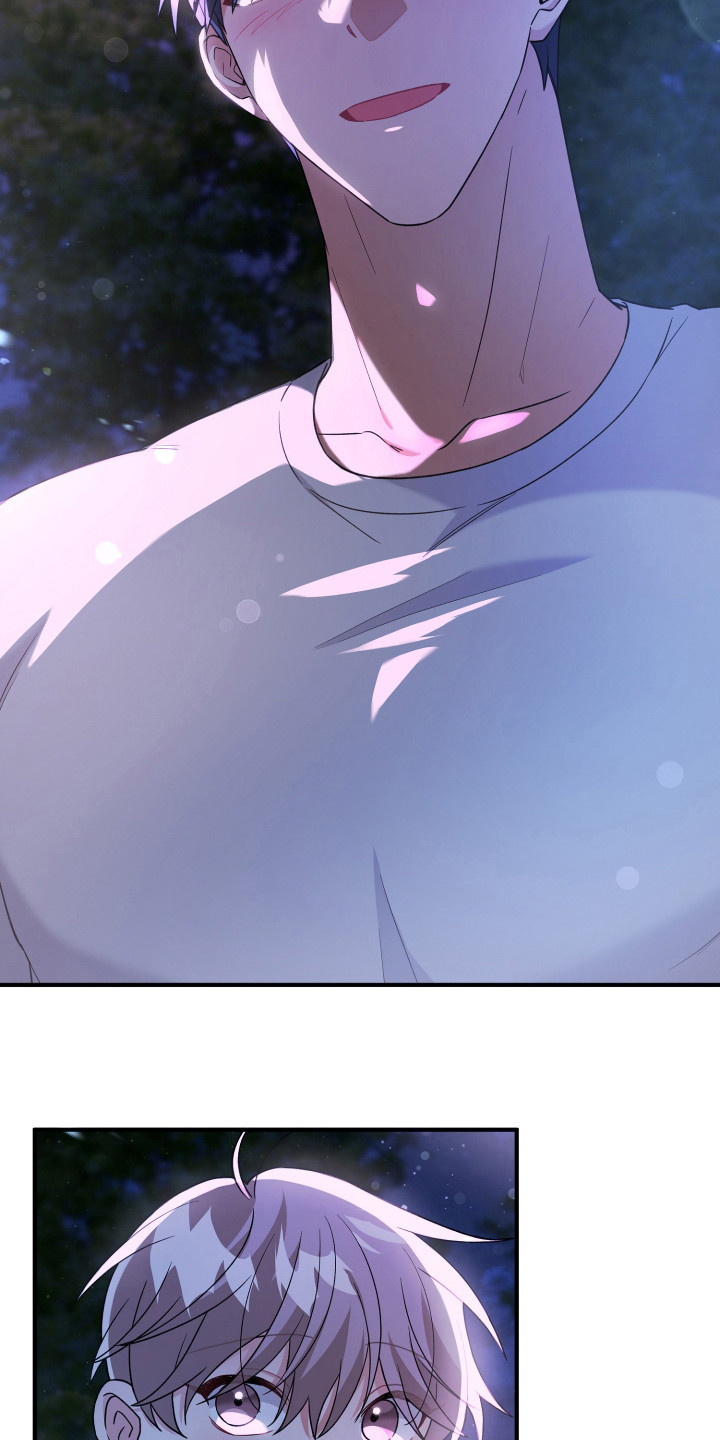 灰熊的玫瑰住宅韩漫漫画,第25章：看到了4图