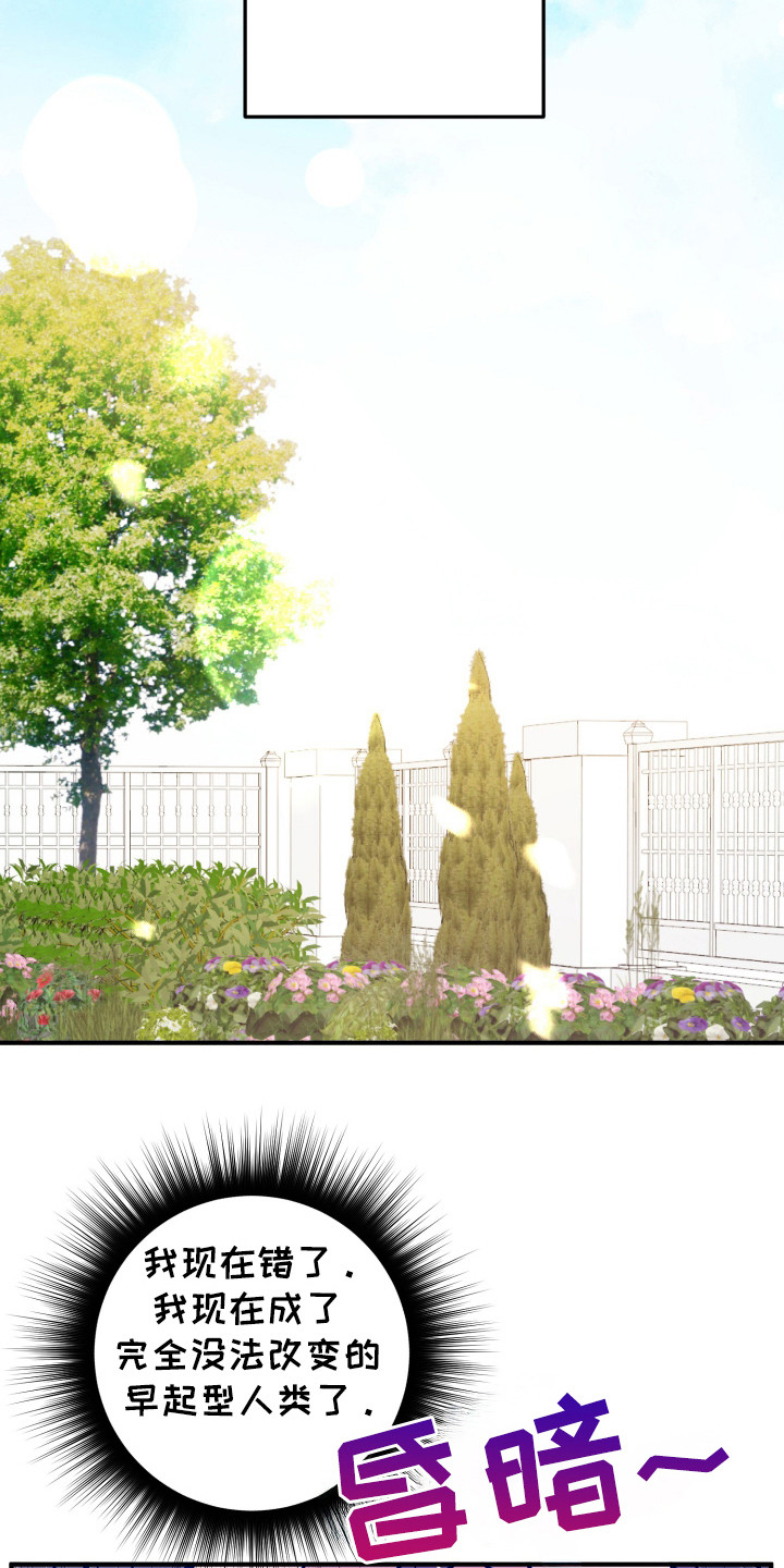 灰熊的玫瑰住宅漫画,第24章：取消2图