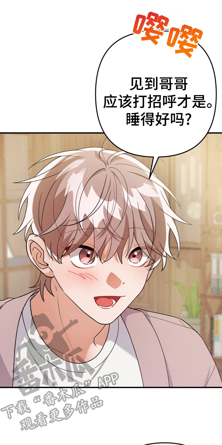 灰熊的玫瑰住宅漫画,第24章：取消5图