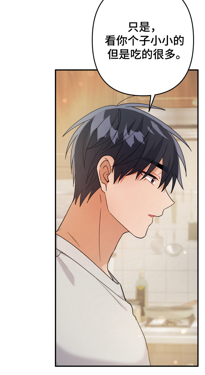 灰熊的玫瑰住宅免费漫画完整版漫画,第23章：算了1图