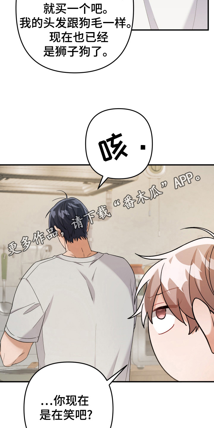 灰熊的玫瑰住宅漫画免费阅读漫画,第23章：算了5图