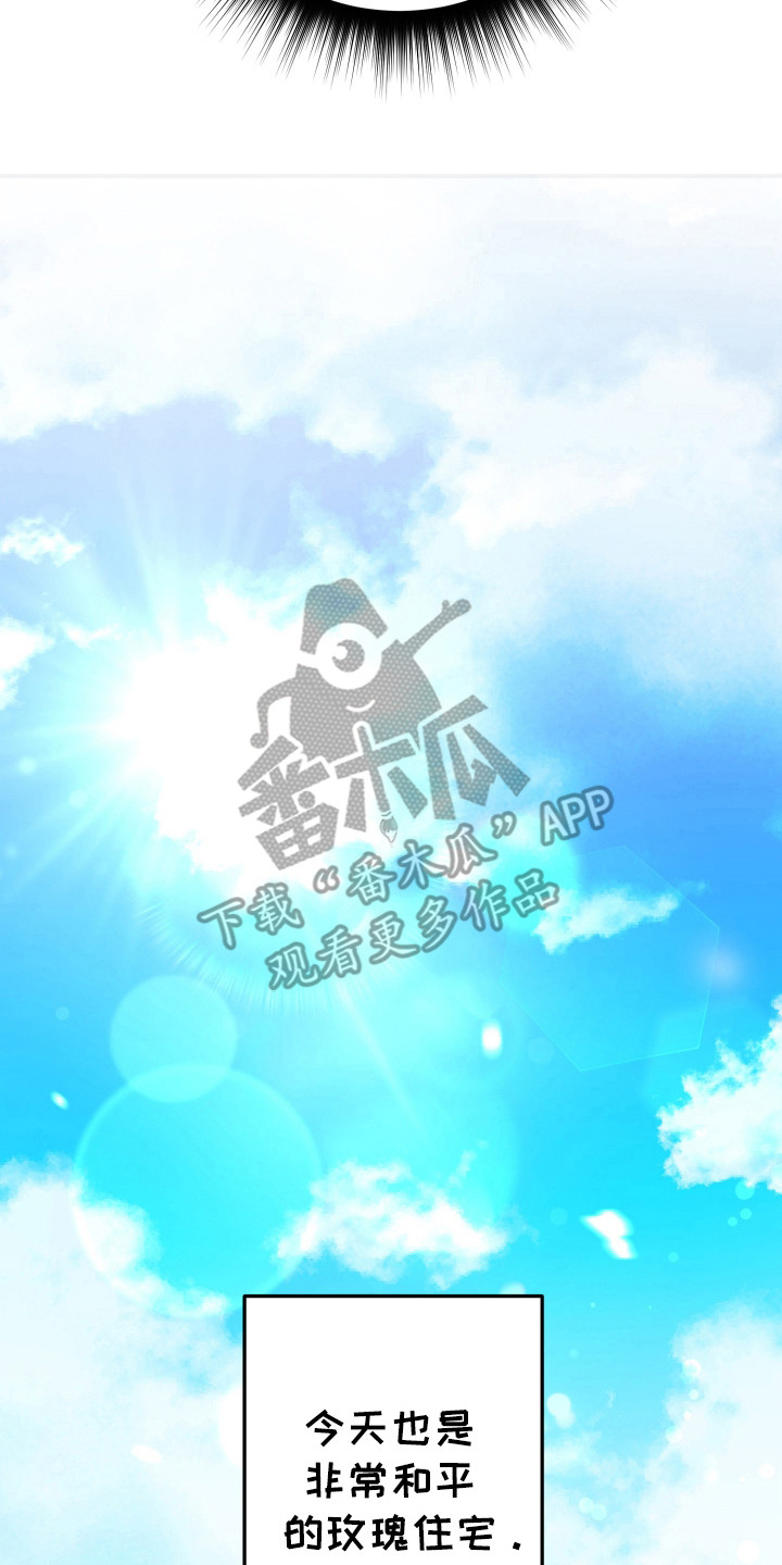 灰熊的玫瑰住宅漫画,第24章：取消1图