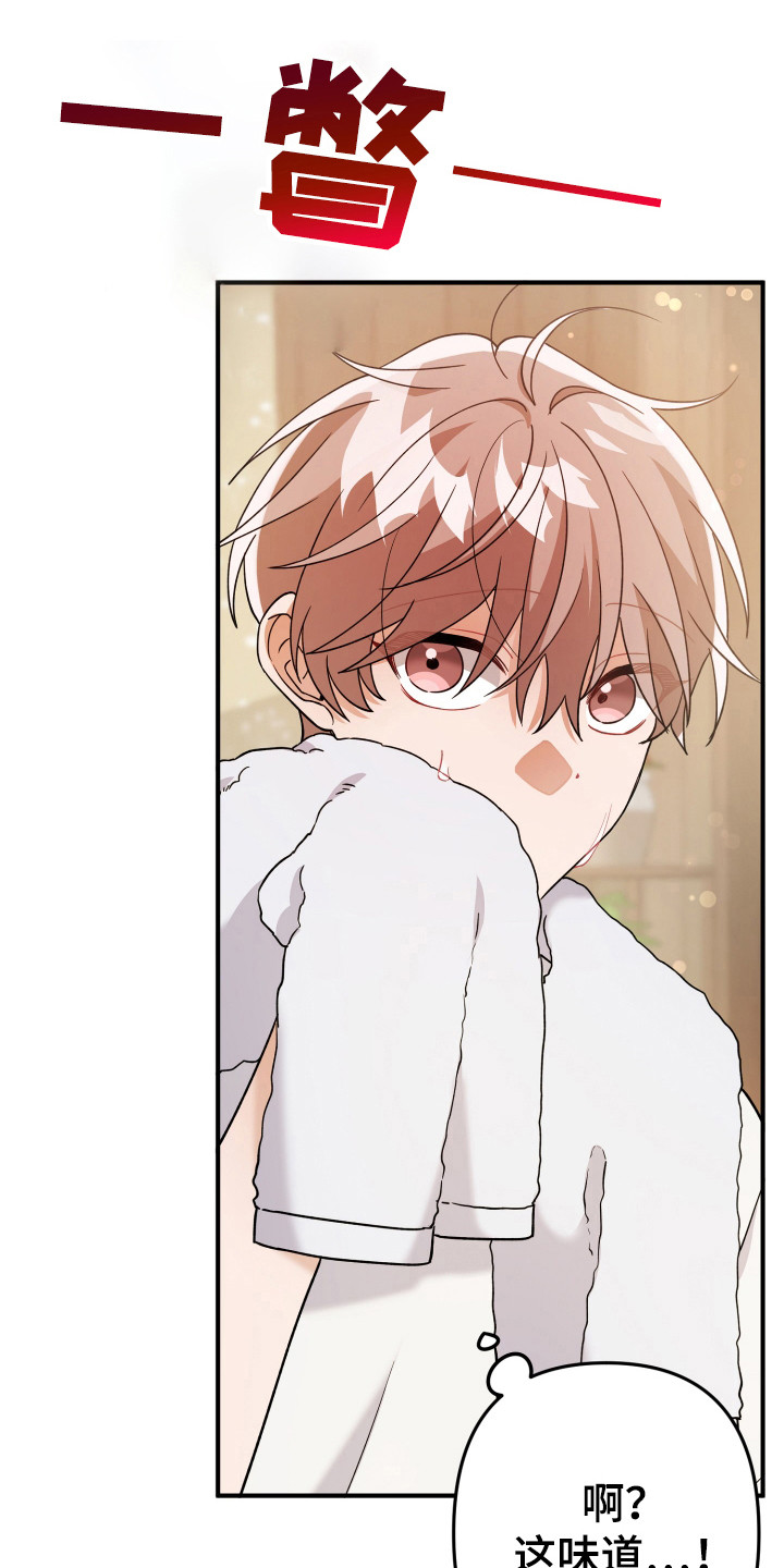 灰熊的玫瑰住宅漫画,第23章：算了1图