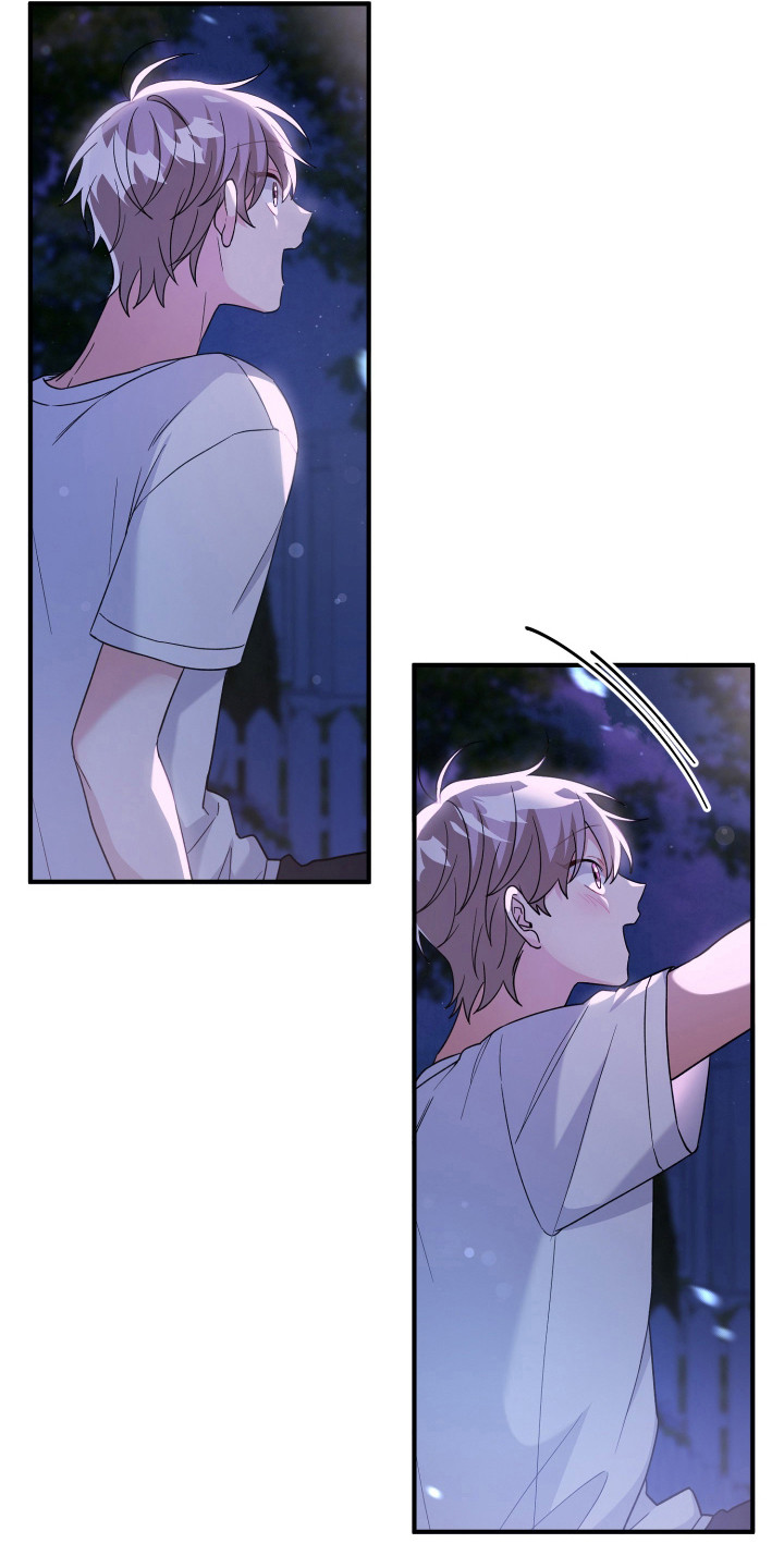 灰熊的玫瑰住宅韩漫漫画,第25章：看到了2图