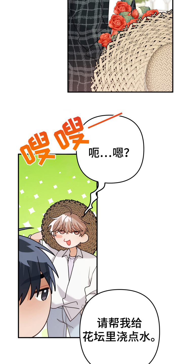 灰熊的玫瑰住宅漫画,第20章：浇水4图