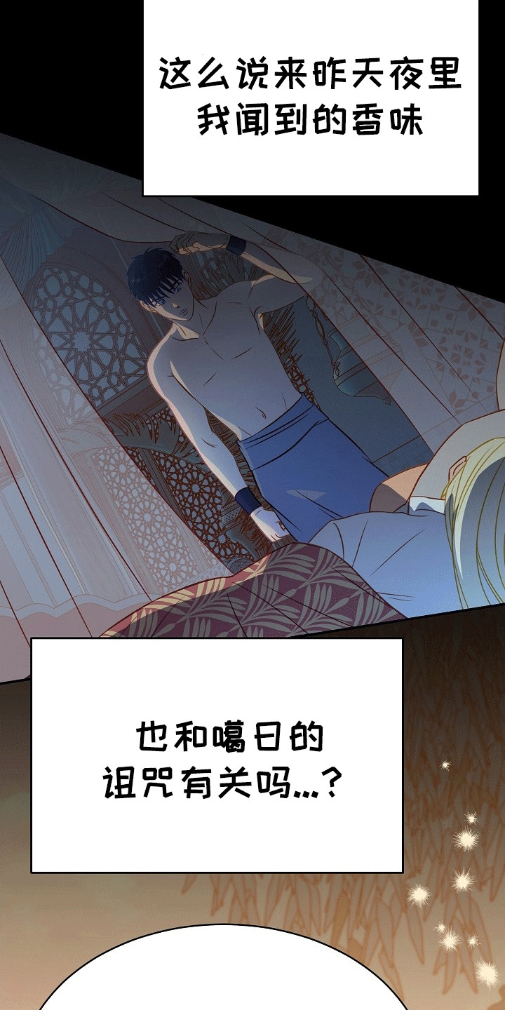 皇帝的垂怜漫画,第29章：诅咒2图