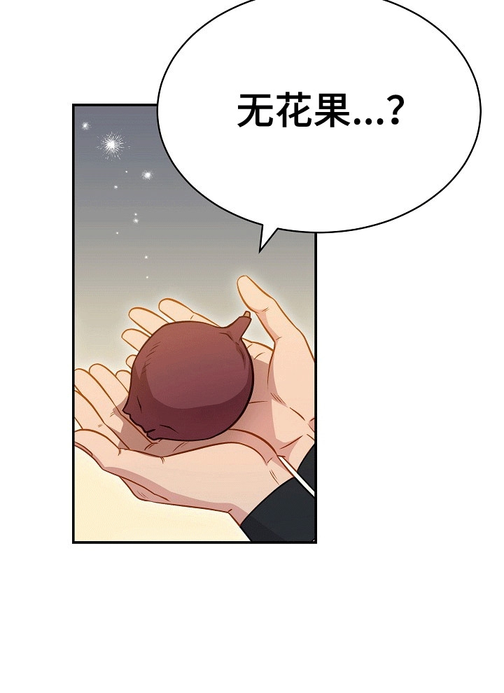 皇帝的偏爱漫画,第25章：无花果1图