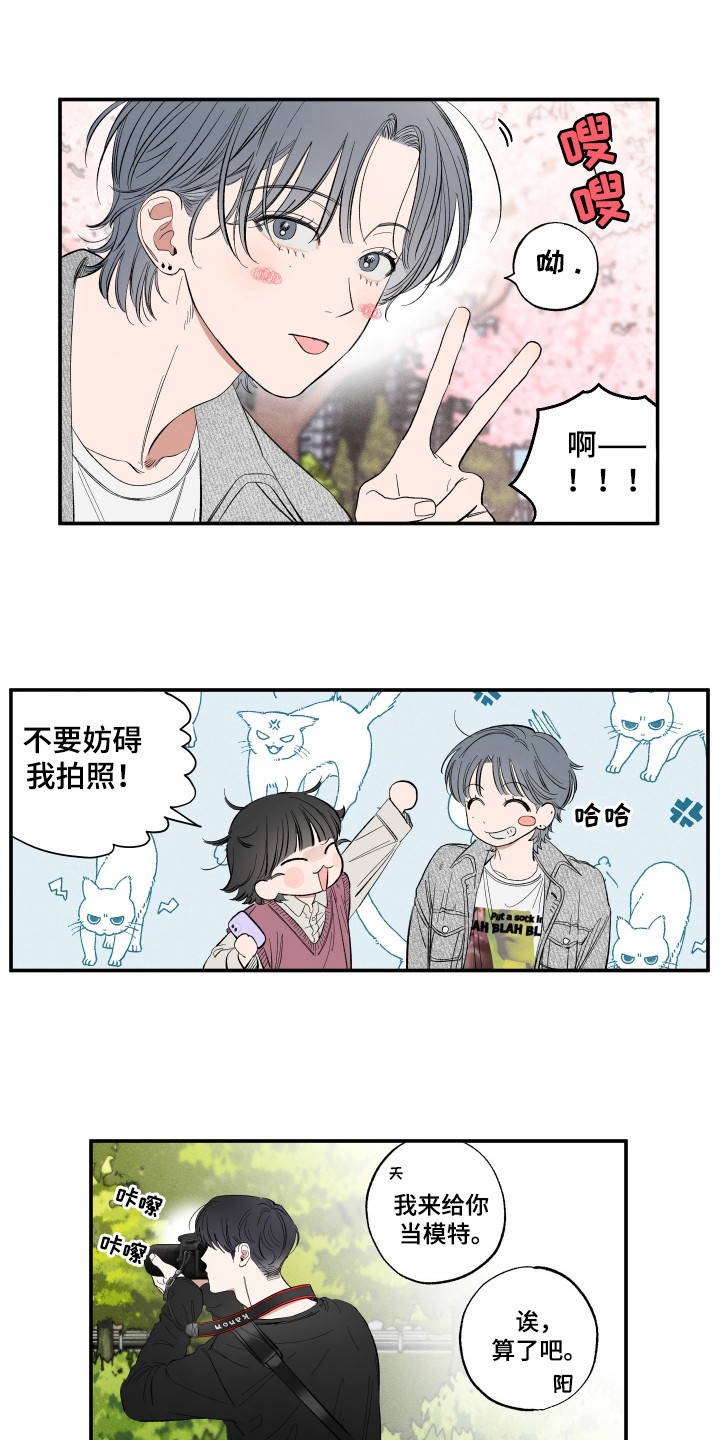 单恋聚会漫画,第20章：赏樱花3图