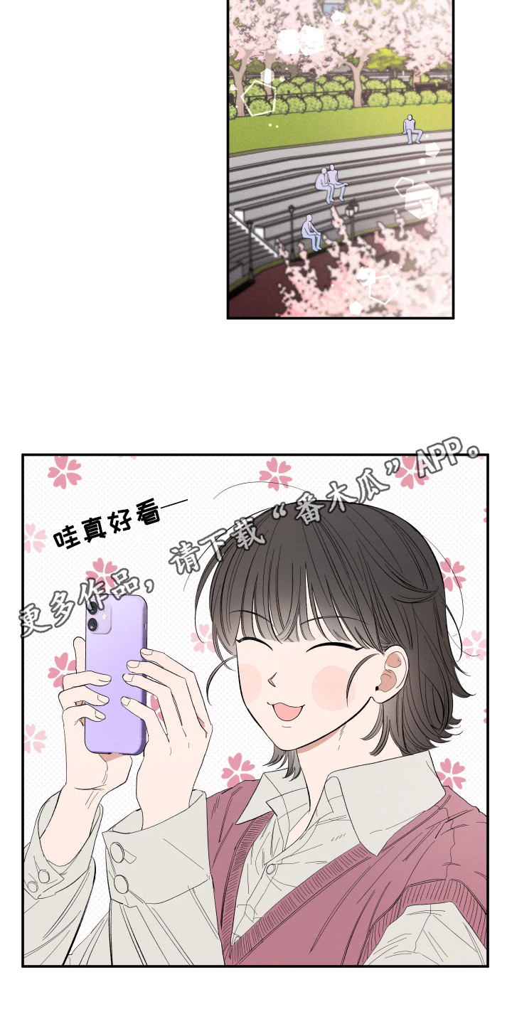 单恋聚会漫画,第20章：赏樱花2图