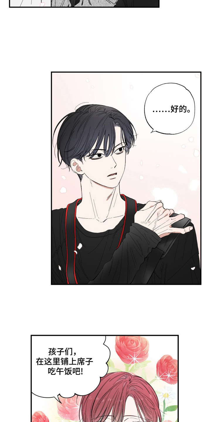 单联卷筒和双联卷筒区别漫画,第20章：赏樱花2图