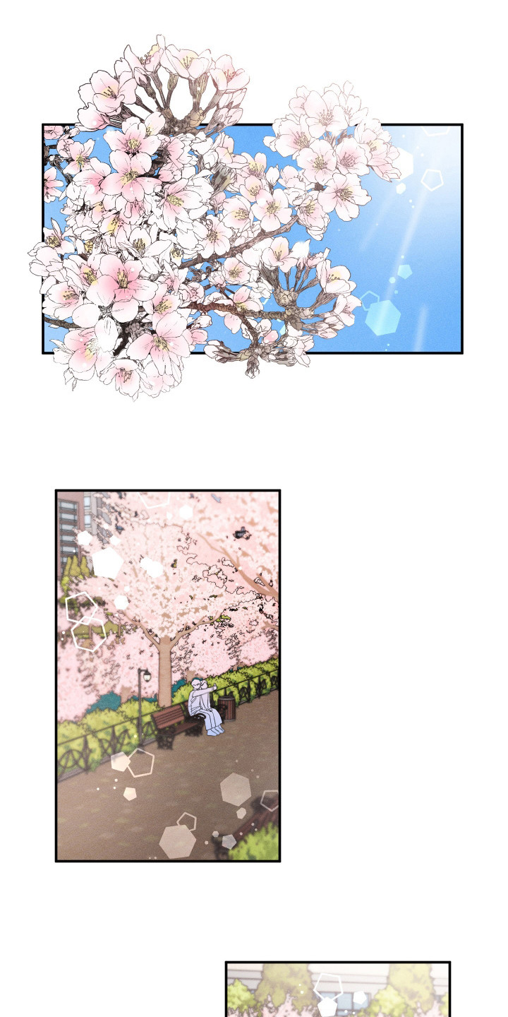 单恋聚会漫画,第20章：赏樱花1图