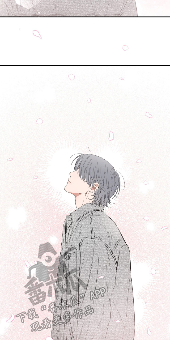 单恋自救漫画,第20章：赏樱花2图