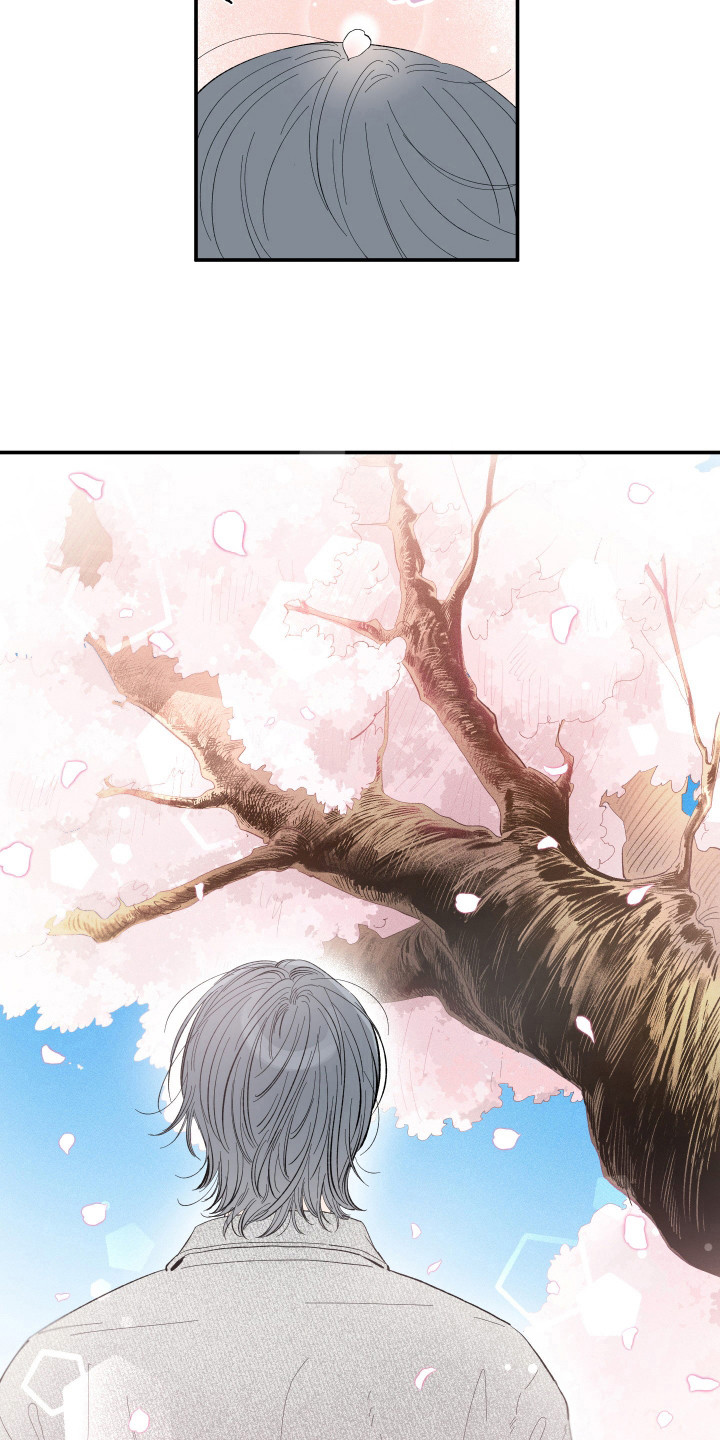 单恋自救漫画,第20章：赏樱花1图