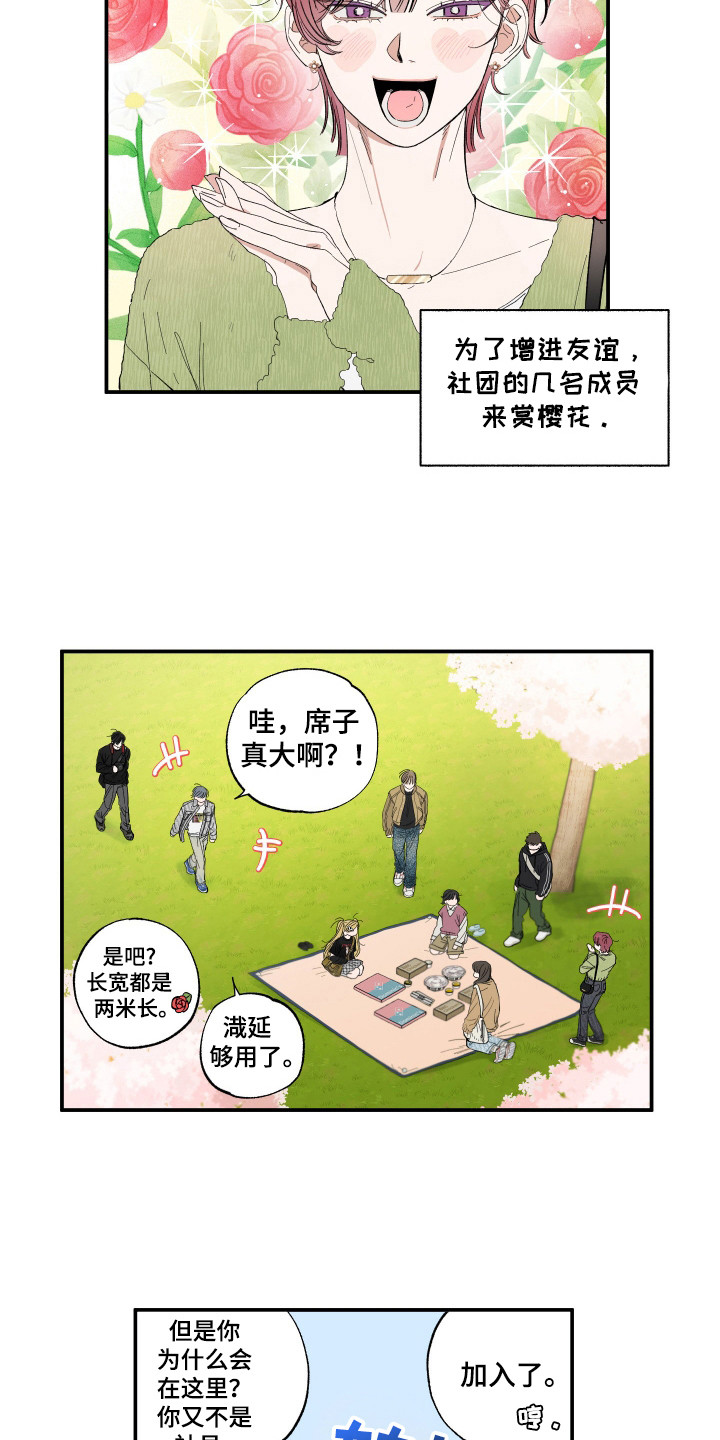 单联卷筒和双联卷筒区别漫画,第20章：赏樱花3图