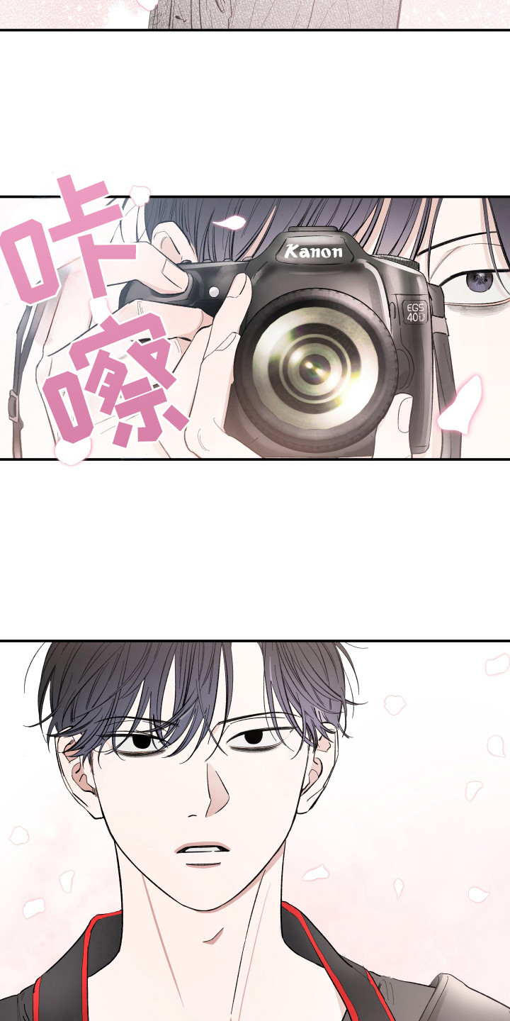单恋自救漫画,第20章：赏樱花3图