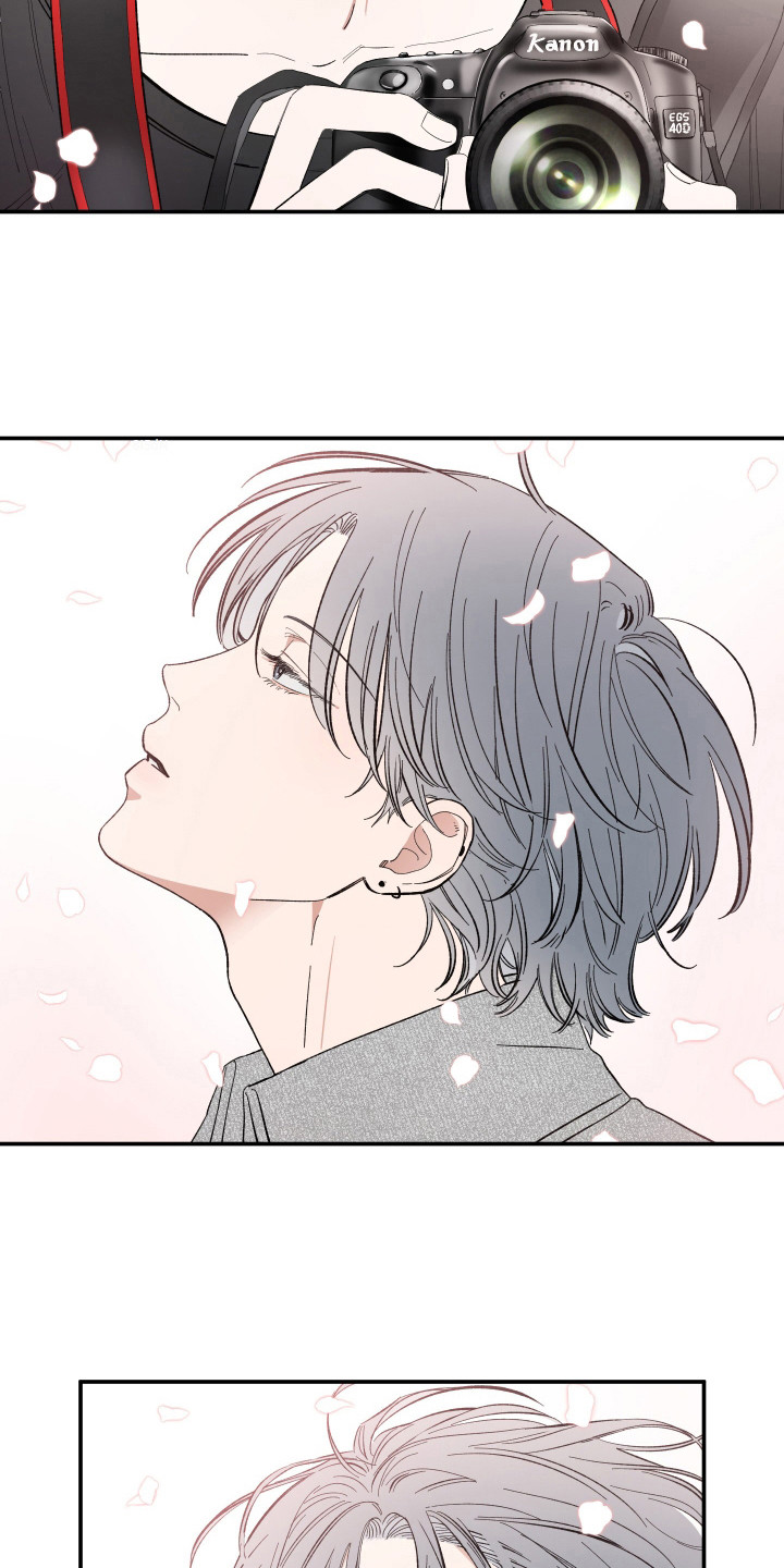 单恋自救漫画,第20章：赏樱花4图