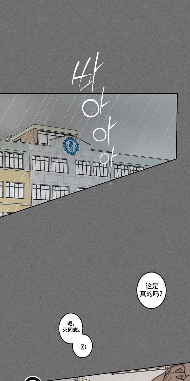 融情曲奇漫画,第75章：【第二季】归属孤立2图