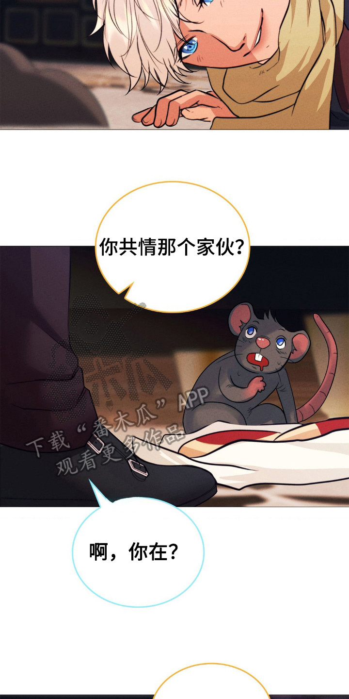 歌剧邪影漫画,第20章：好好休息5图