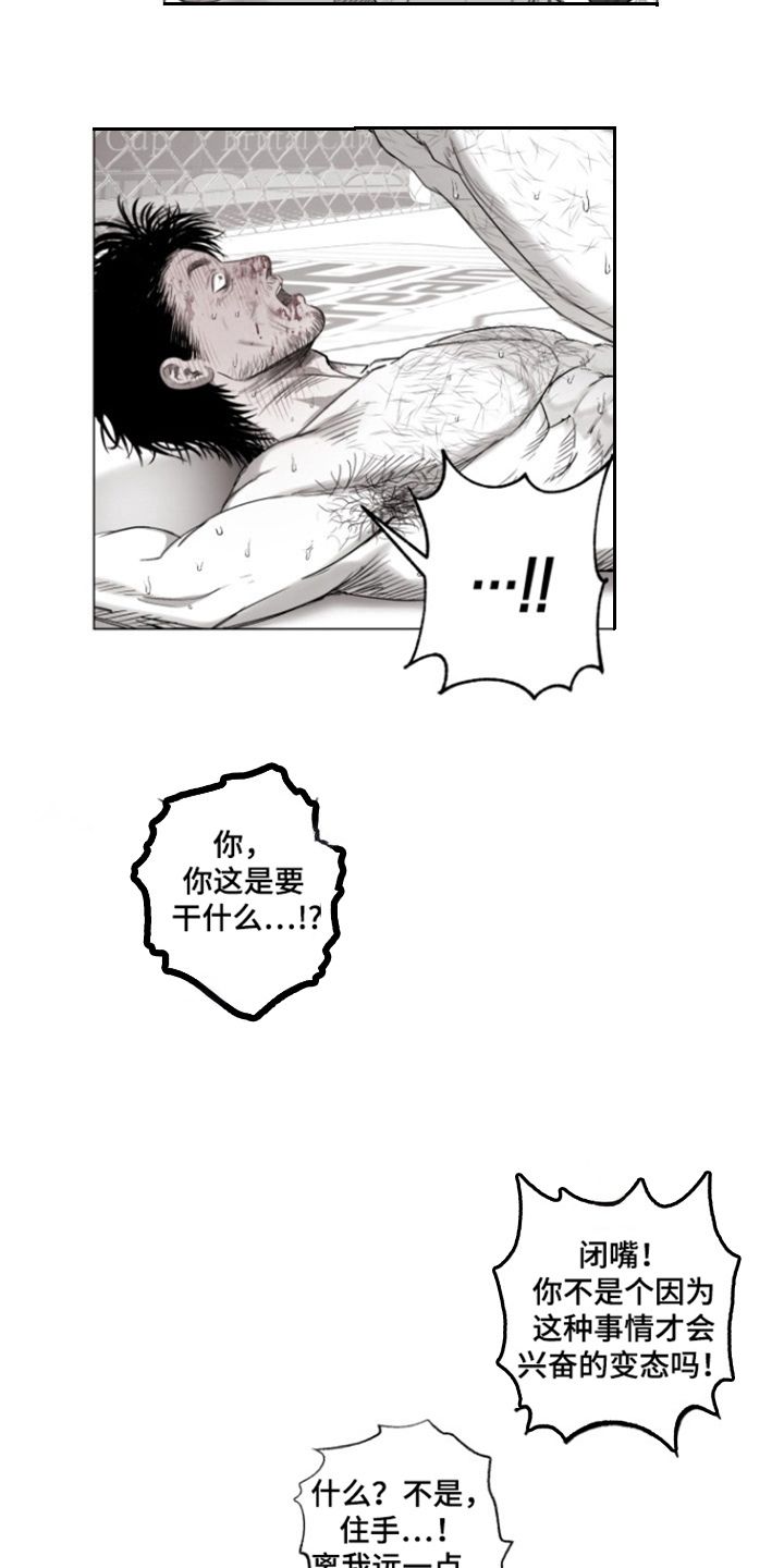 不屈的冠军漫画,第30章：信不信5图