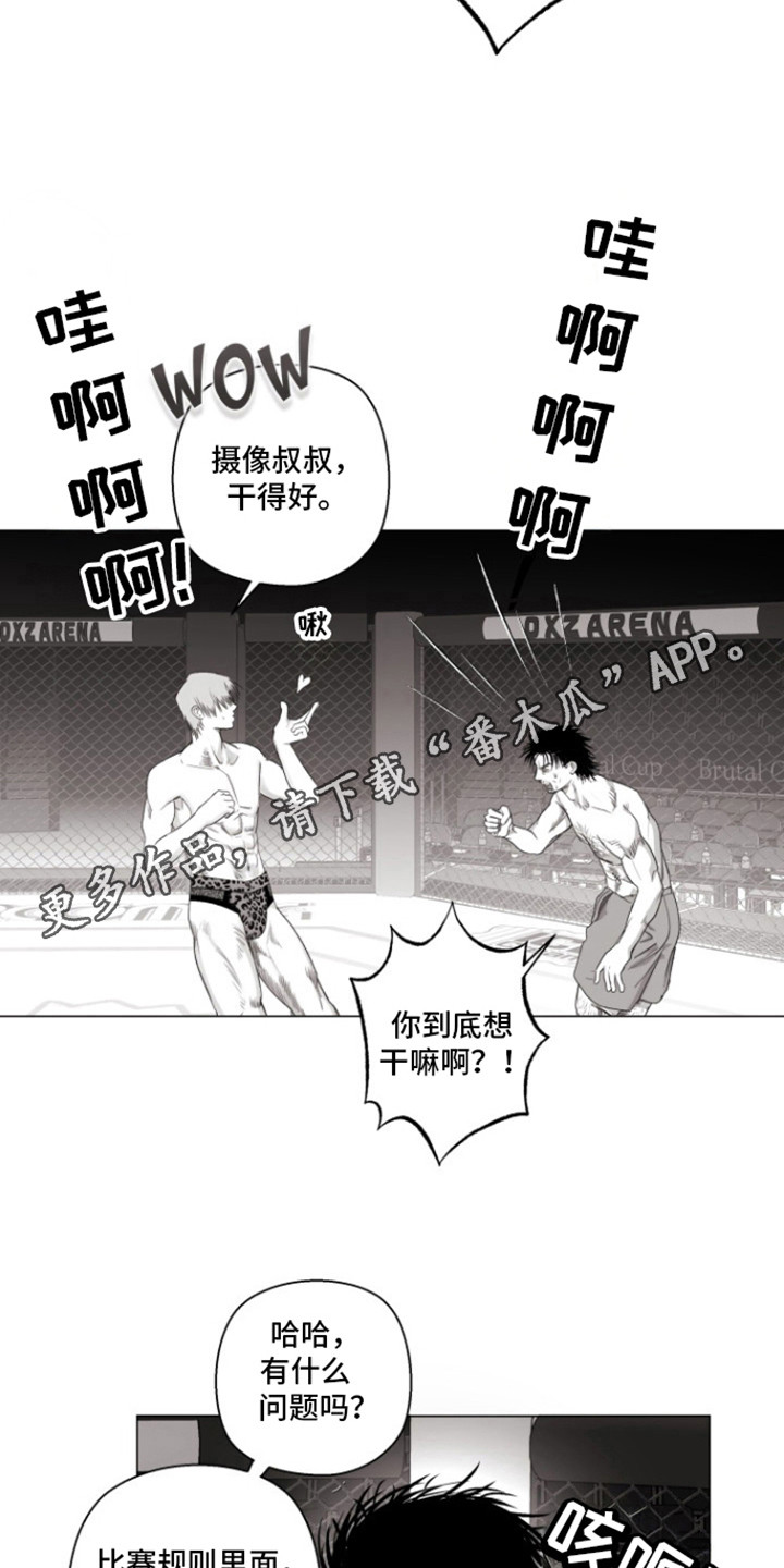不屈的冠军漫画,第16章：干得好3图