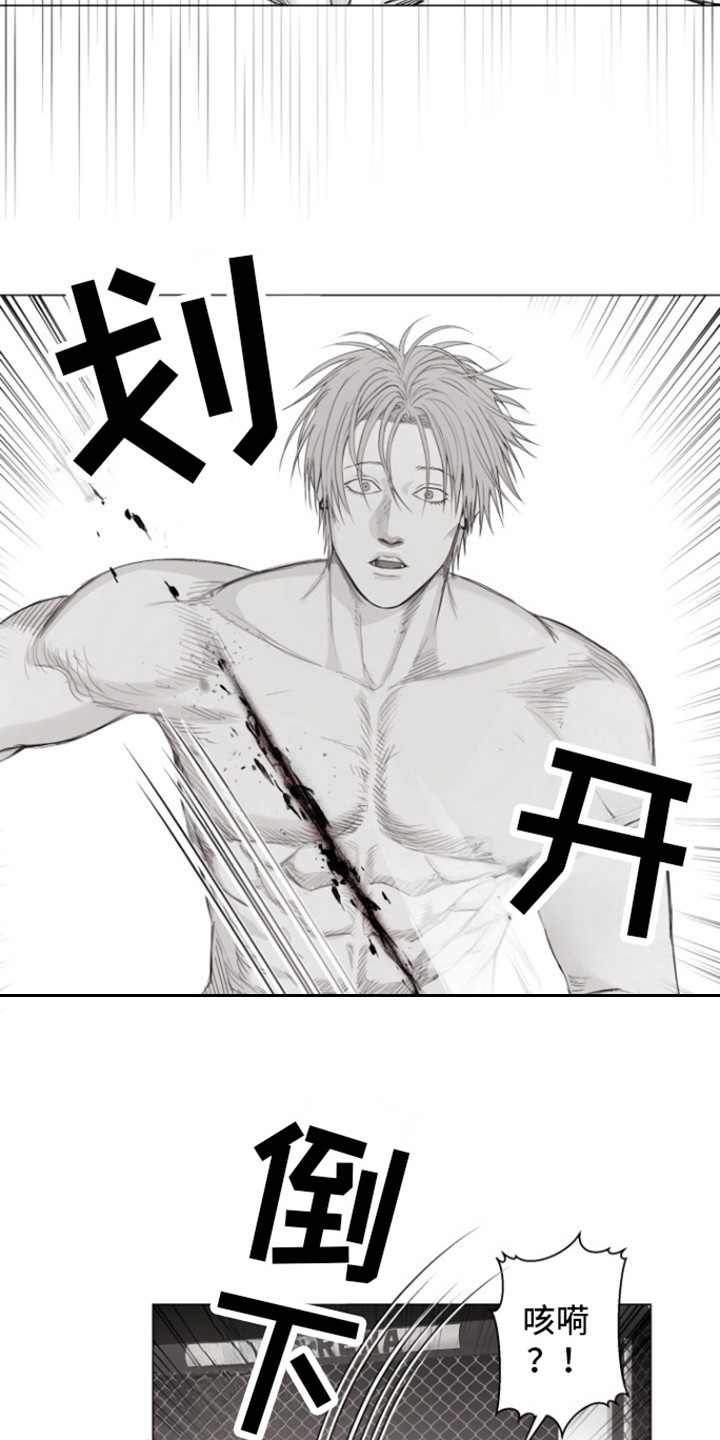 不屈的冠军漫画,第19章：看着我1图