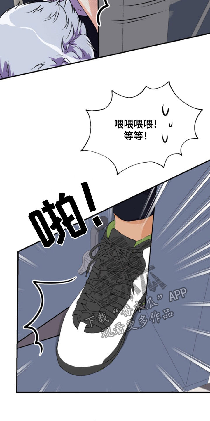 家纺柔软实验漫画,第20章：限量版礼物（完结）5图