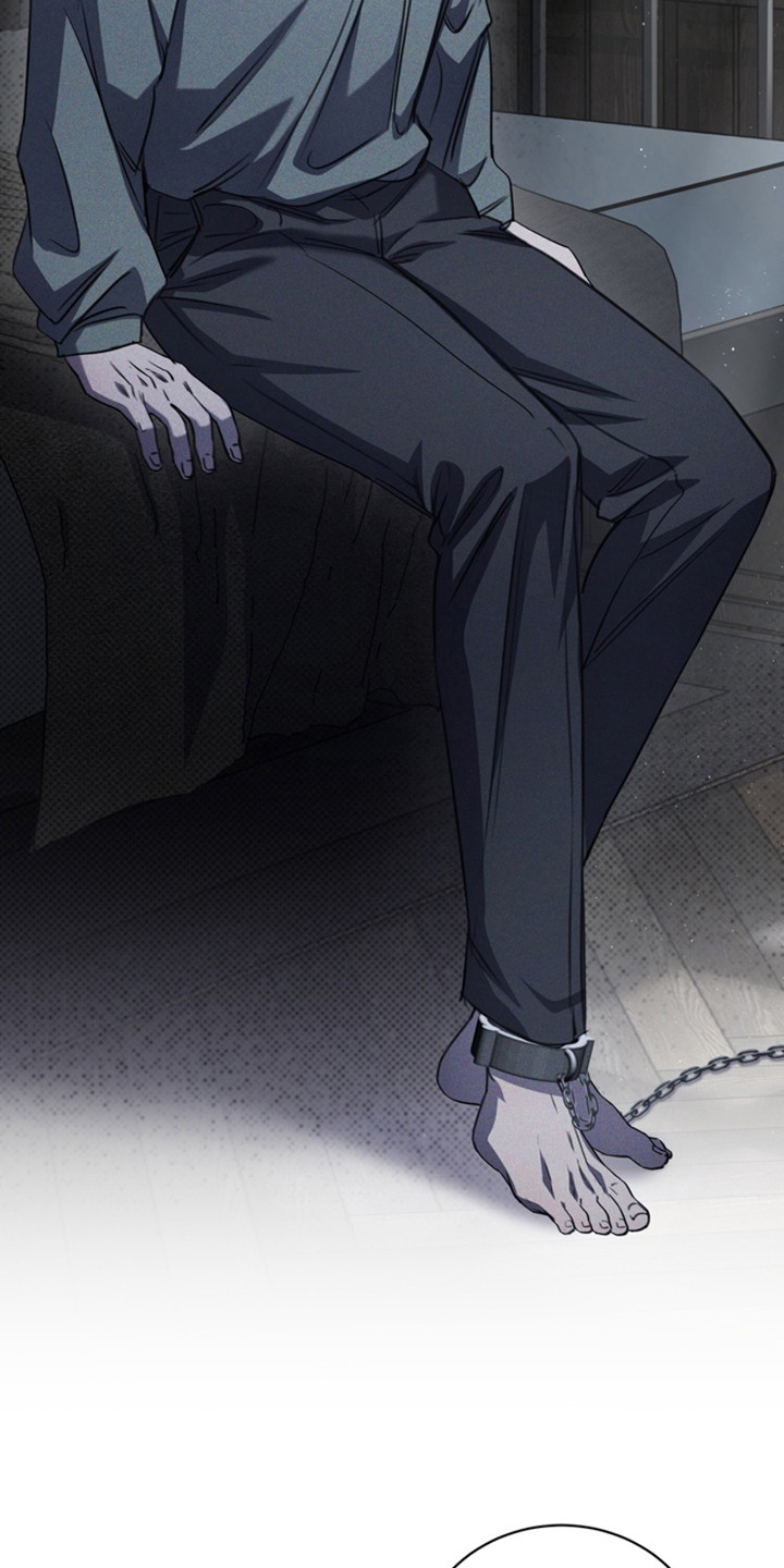 黑手边界第二季免费观看漫画,第19章：醒来1图