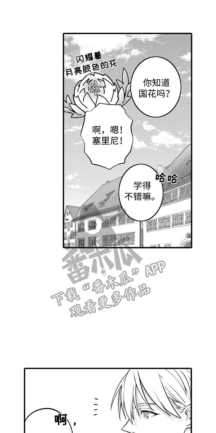 肉肉王妃漫画,第9章：外出视察4图