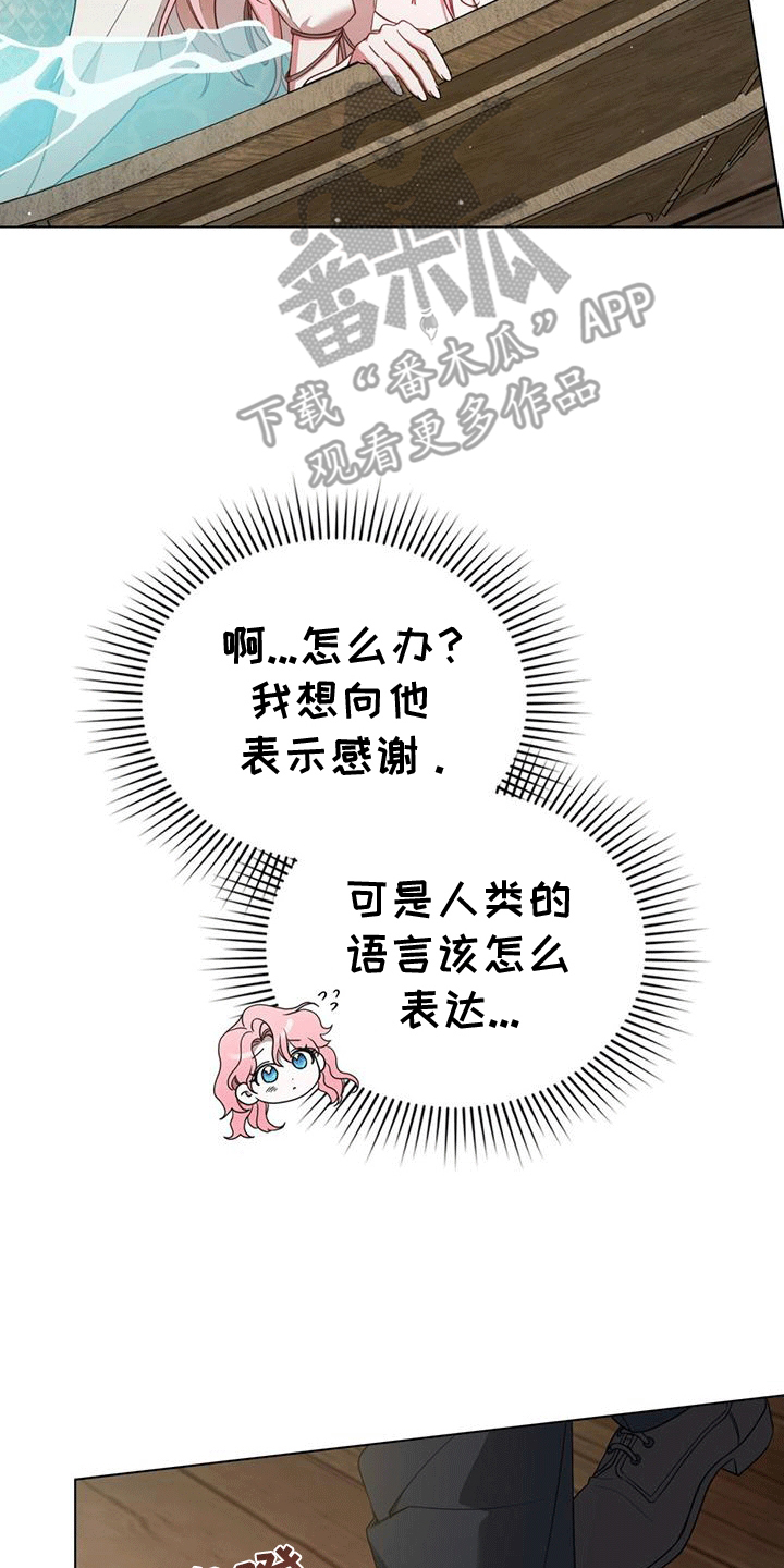 救赎美人鱼小说漫画,第7章：塞伦希德2图