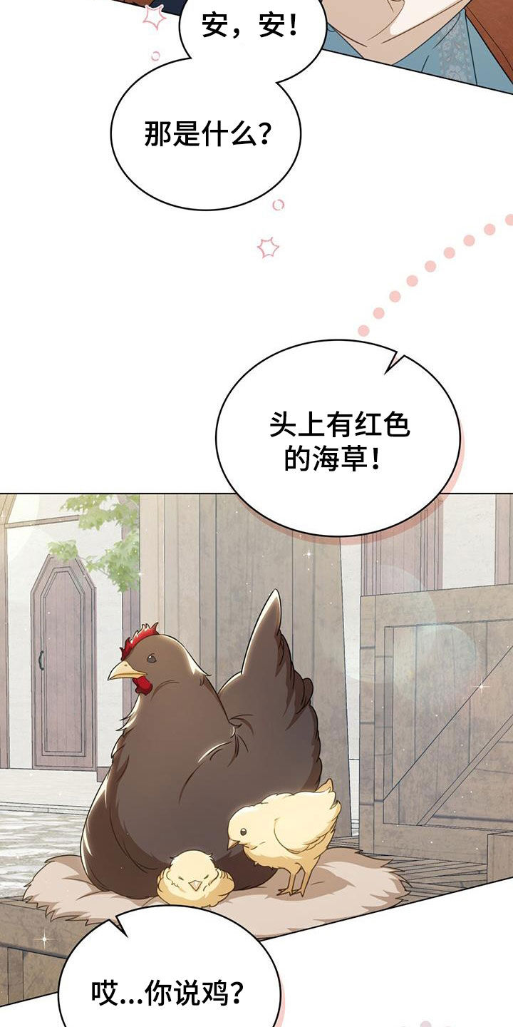 美人鱼小说漫画,第31章：集市5图
