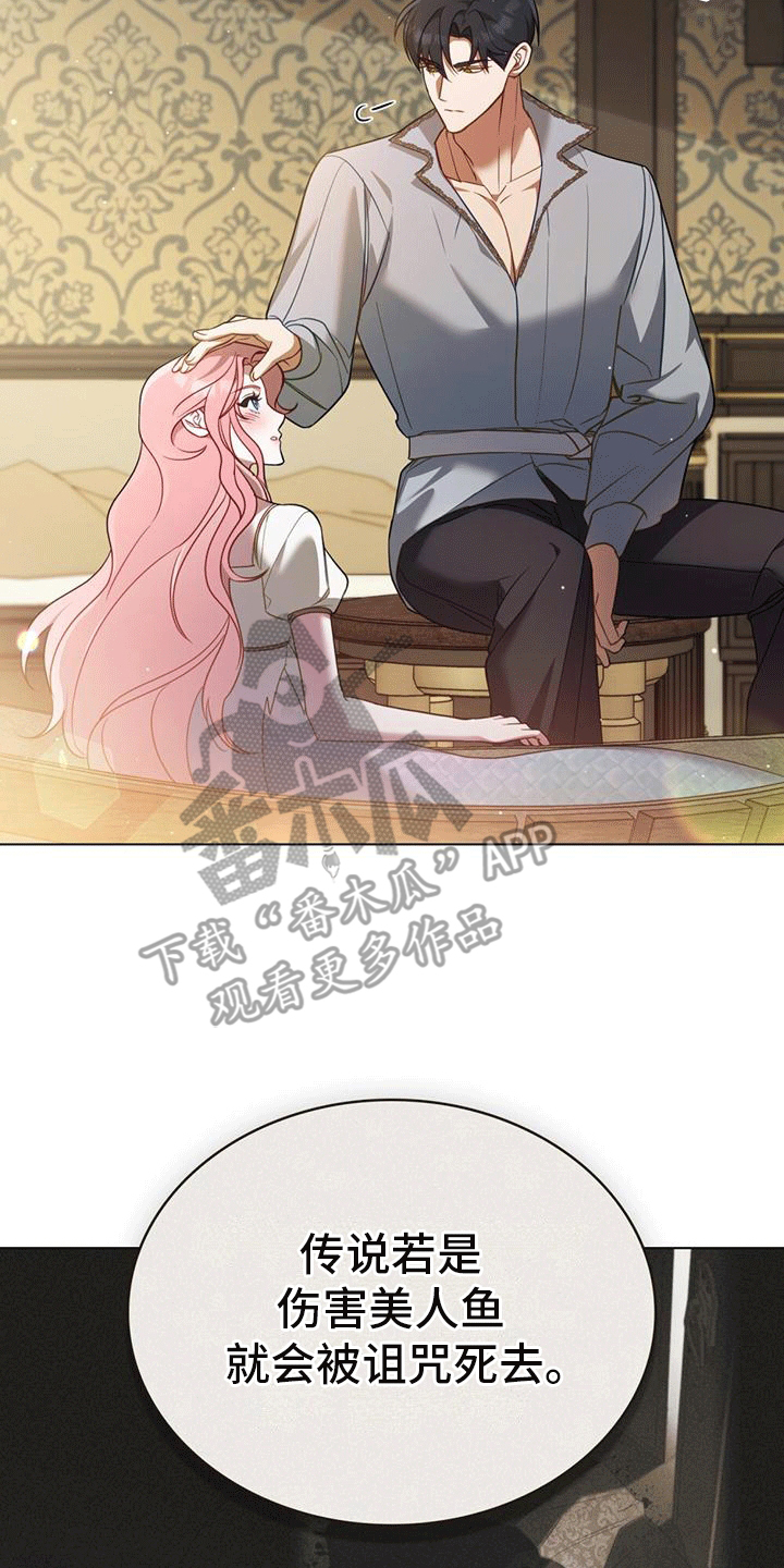 救赎美人鱼小说漫画,第7章：塞伦希德5图