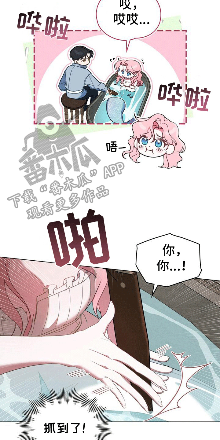 救赎美人鱼小说漫画,第7章：塞伦希德1图