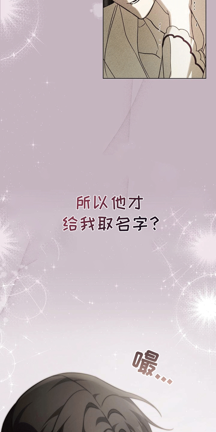 救赎我吧美人鱼漫画,第19章：名字2图