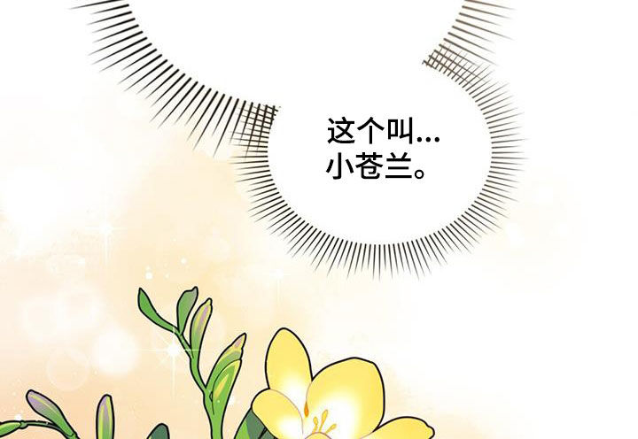 救赎我吧美人鱼漫画在线观看免费漫画,第23章：花园4图