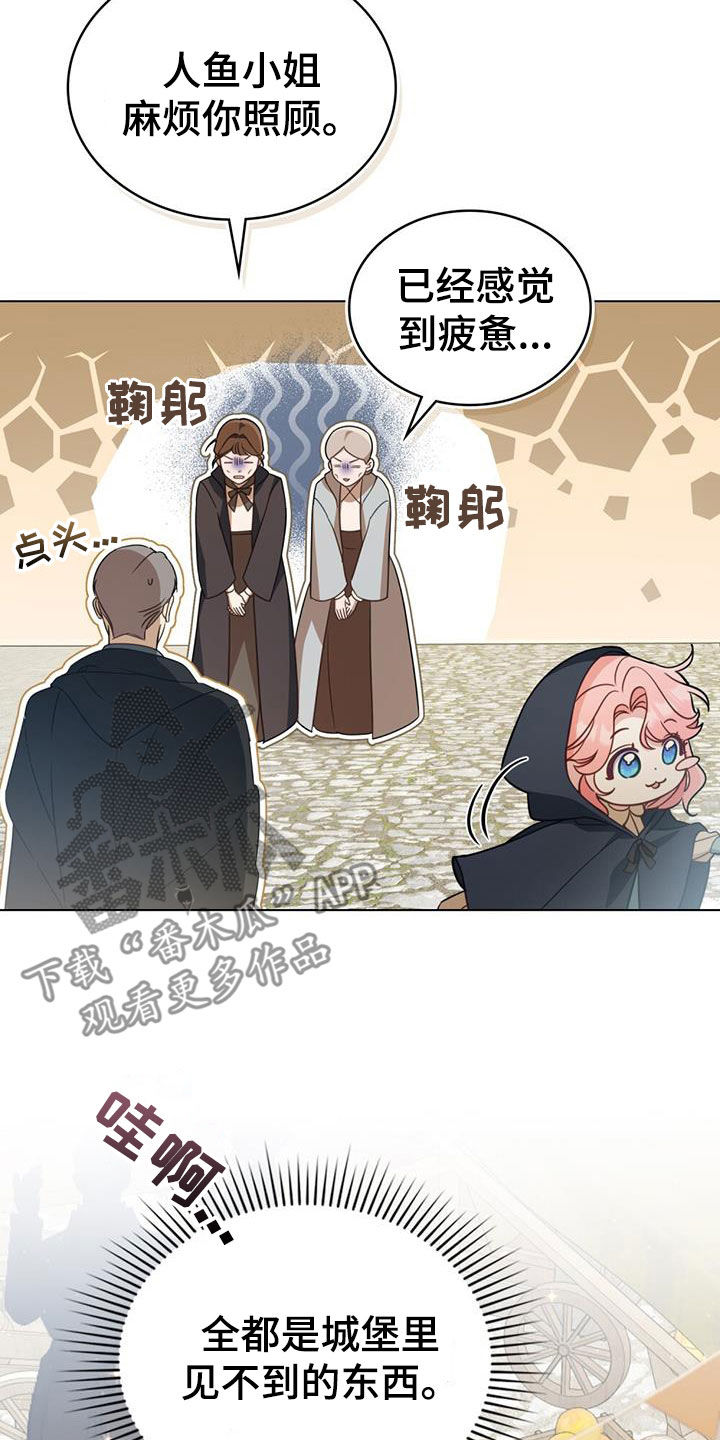 美人鱼小说漫画,第31章：集市5图