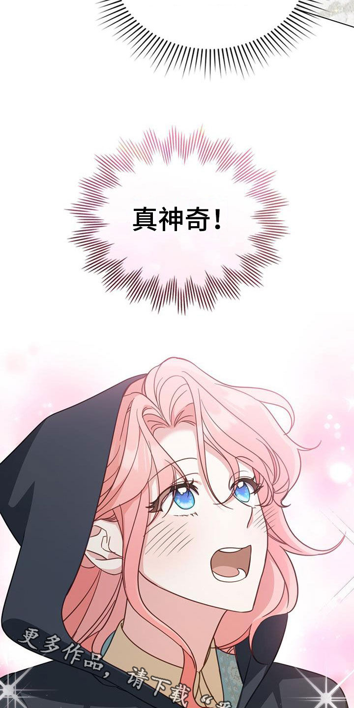 美人鱼小说漫画,第31章：集市2图