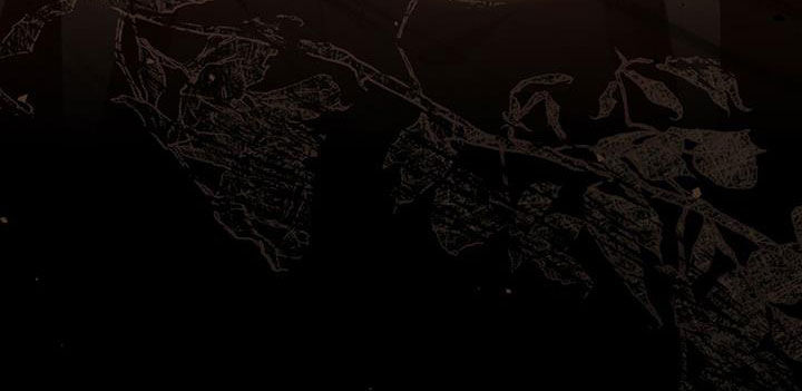 救赎我吧美人鱼漫画,第32章：同胞3图