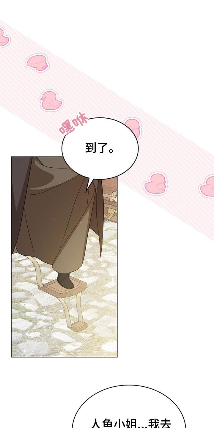 美人鱼小说漫画,第31章：集市3图