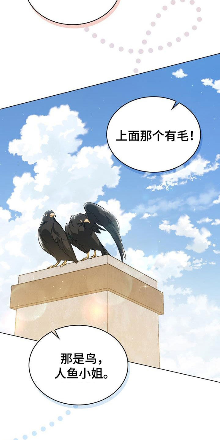 美人鱼小说漫画,第31章：集市1图